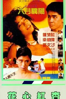 久久99精品久久久久久久野外